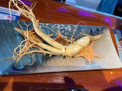 -千岛蚝高压锅生蚝·人参火锅(白云万达店)