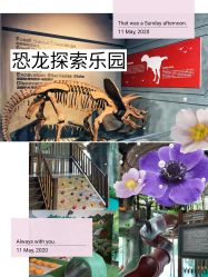 -恐龙探索乐园(磁器口店)