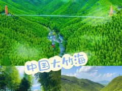 -阿露佳·舌尖上的安吉菜