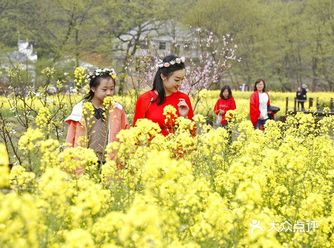 春季赏花,你只知道去婺源,却不知道这里的油菜花也是美不胜收。