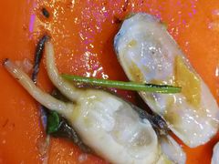 -杨氏青龙虾·羊蝎子(托乐嘉店)