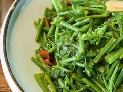 蒜蓉炒丝瓜苗尖-熙楼(翠湖店)