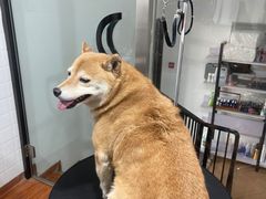 -熊小胖宠物生活馆(天华园店)