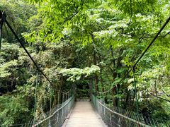 -西岭雪山大飞水景区