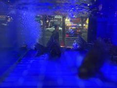 -辣螃铠盆盆蟹大排档(海昌店)