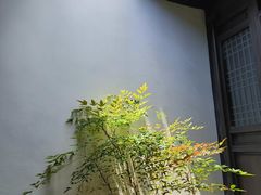 -东山雕花楼