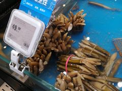 -皇庭广场(福华三路店)