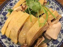 -九斤黄三黄鸡专卖店