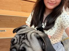 -和它·交个朋友·狗咖猫咖(爱琴海店)