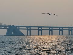-星海广场
