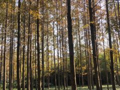 -河南省黄河迎宾馆