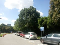 -上海中医药大学附属曙光医院(东部)