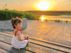 -天津东丽湖风景区