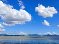 -深圳湾公园(南山区)