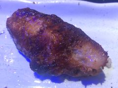 -黑门烤肉
