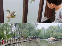 -溱湖国家湿地公园