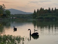 -江南大学(蠡湖校区)