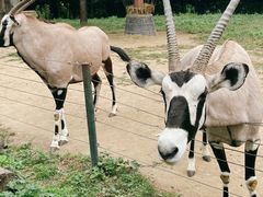 -大连森林动物园