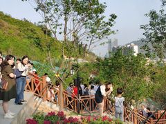 -小南山公园