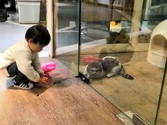 -小时光咖啡馆(开森度假森林店)