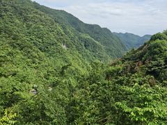 -娄山关景区