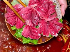 -渝拆火锅(沙坪坝店)