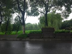 -八大山人梅湖景区