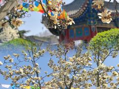 -西安市广仁寺