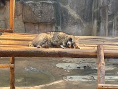 -杭州野生动物世界
