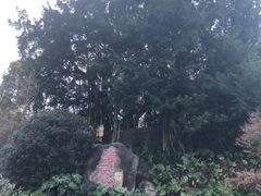 -乌山风景区