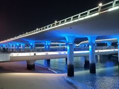 -演武大桥观景平台