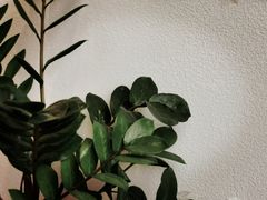 -BLAQ咖啡(骏豪店)
