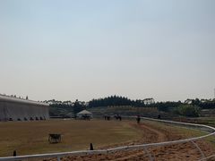 -迪茵湖田家舍生态农场