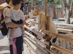 -泉州海丝野生动物世界