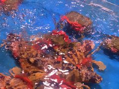 -金成潮菜博物馆(海珠湿地店)