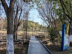 -昆山城市生态森林公园