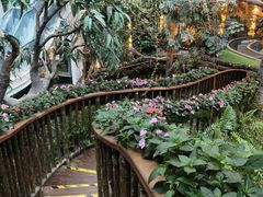-正佳雨林生态植物园