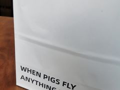-WHEN PIGS FLY当猪飞