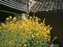 -黄山老妈·土菜(碧桂园店)
