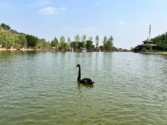 -静之湖度假区