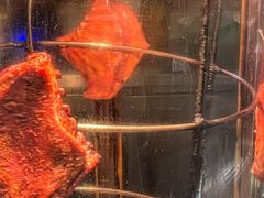 -霄汉羊排(万松园一店)