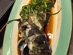 活老虎斑-琼菜王(南海店)