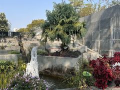 -广州神农草堂中医药博物馆