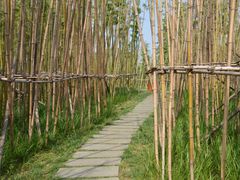 -白鹭湾湿地公园