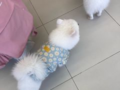 -怪兽屋·羊驼·猫咖·狗咖(俊华广场店)