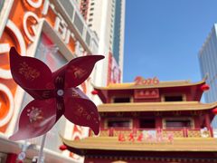 -越秀西湖花市(广州城市广场花卉店)