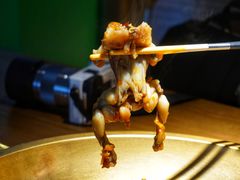 -同蛙阁美蛙鱼头火锅