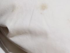 -北京望京华彩智选假日酒店