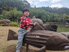 -神光山国家森林公园