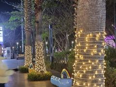 -大梅沙海滨公园